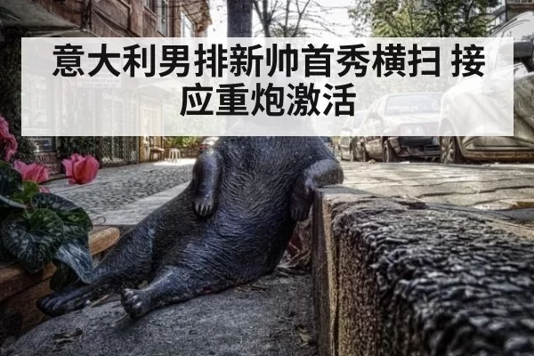 意大利男排新帅首秀横扫 接应重炮激活 | pgdianzi
