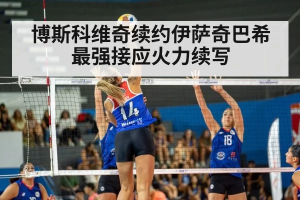 volleyball match