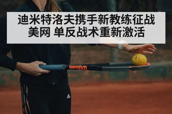 迪米特洛夫携手新教练征战美网 单反战术重新激活 | pgdianzi